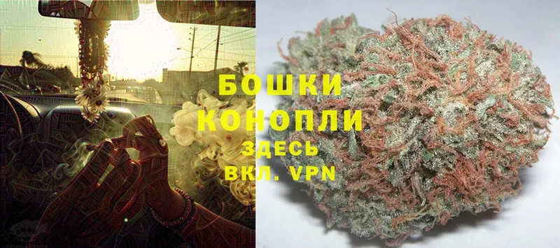 Бошки Шишки THC 21%  купить   Межгорье 